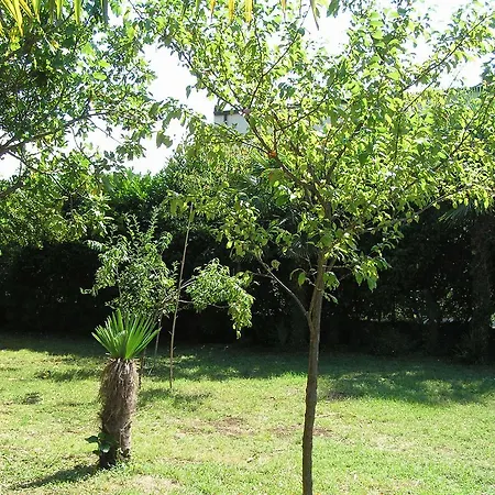 Angela Apartament